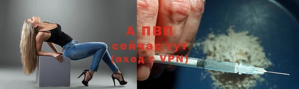 трава Абаза