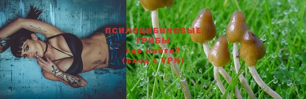 СК Абдулино